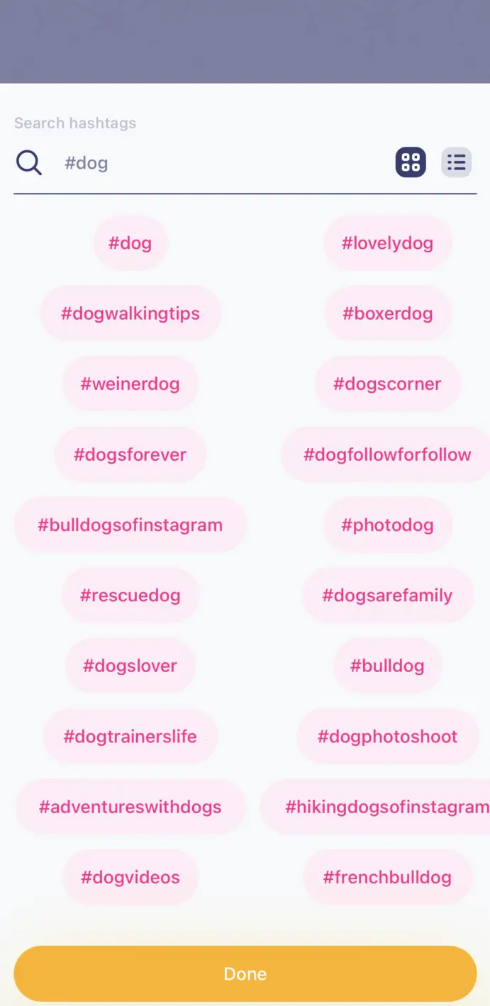 Cómo usar hashtags en Instagram: todo lo que necesitas saber
