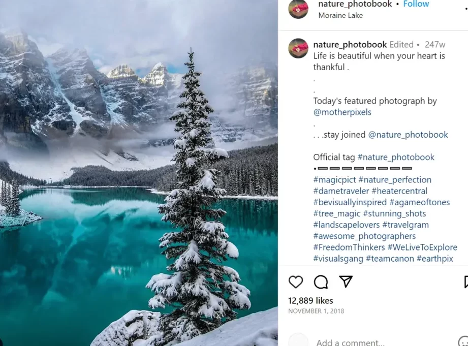 Hashtags de la naturaleza para aumentar su alcance en Instagram y TikTok