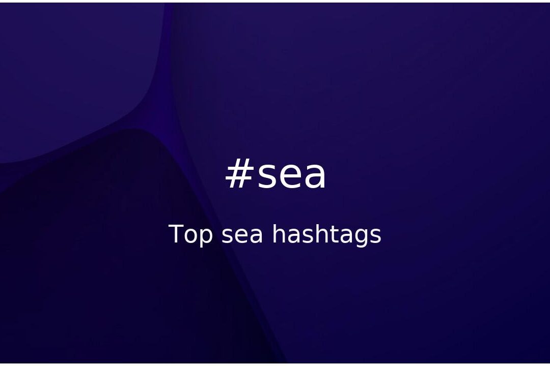 Propósitos de visualización: los mejores hashtags #sunny para Instagram, TikTok ...