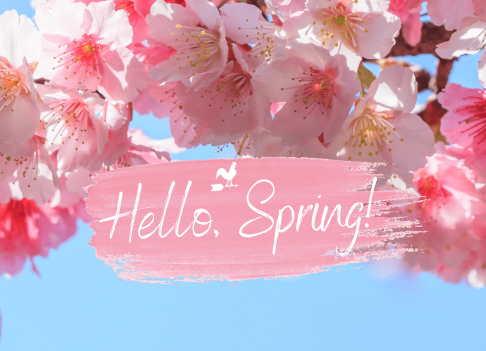 Los mejores hashtags #Springbreak Más de 80 buenos subtítulos y hashtags de primavera de Instagram que seguramente ...